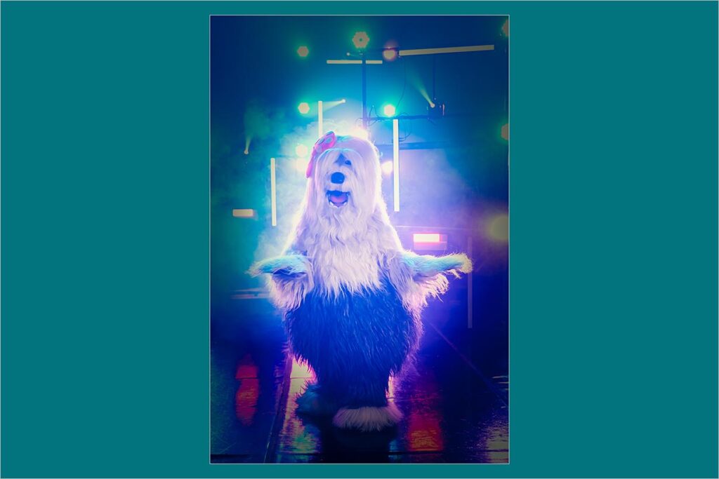 Um personagem em fantasia de cão fofo com pelo branco e escuro está em um palco com luzes coloridas e névoa. Ele tem um laço na cabeça e está posando com os braços abertos, como se estivesse se apresentando. Foto: Luiz Ferré