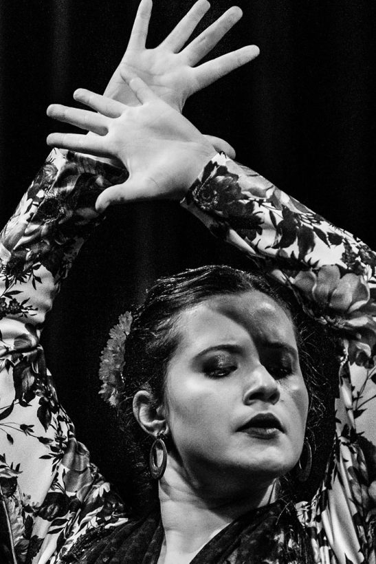 Foto: Ana Nicolau