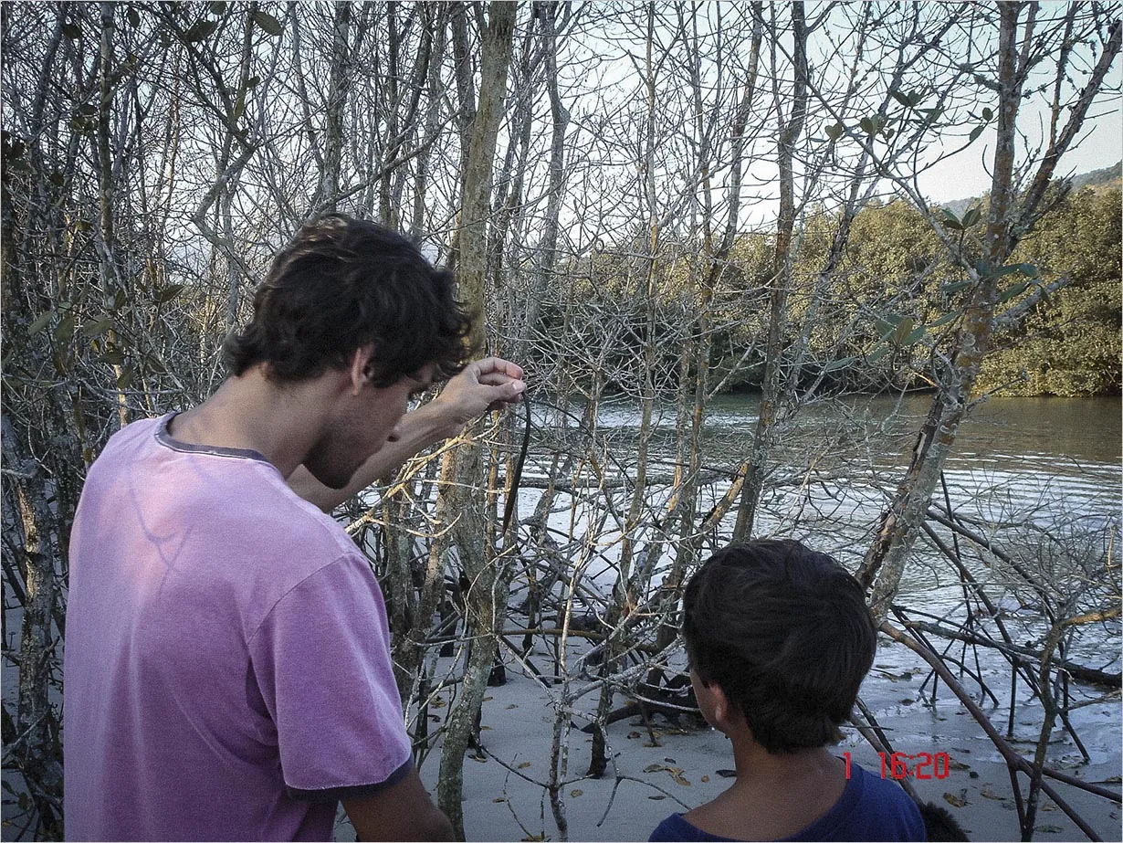 Trabalho de campo - Manguezais | Restinga da Marambaia, Rio de Janeiro